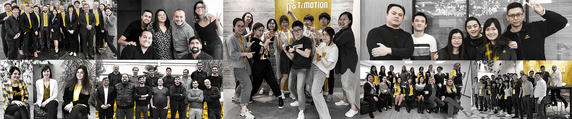 全球TiMOTION 團隊