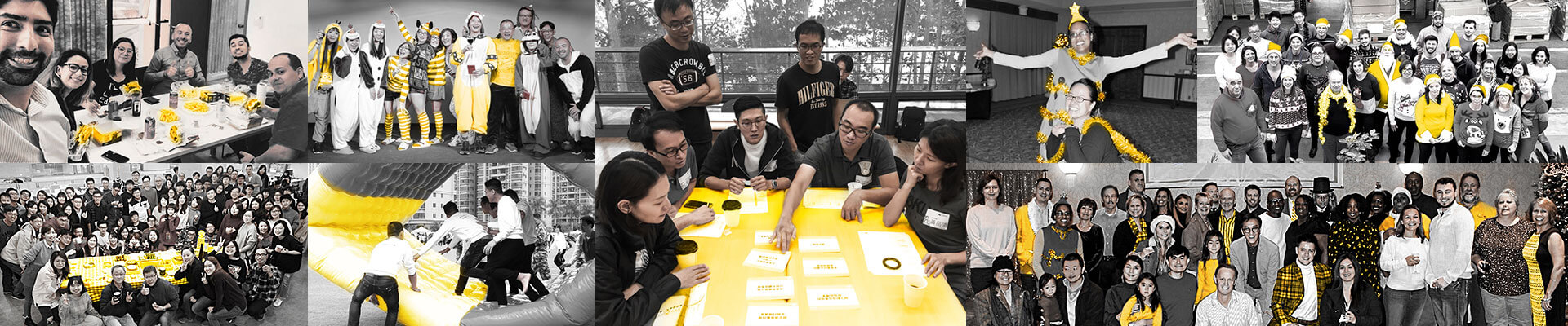 TiMOTION offers great opportunities to their team members all over the globe